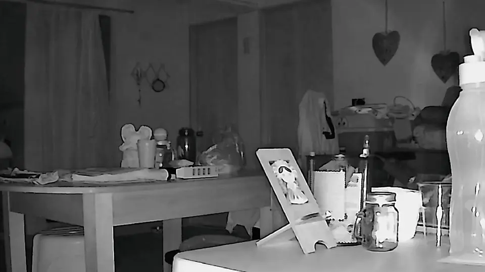 Microsismo sacude la Benito Juárez durante la madrugada