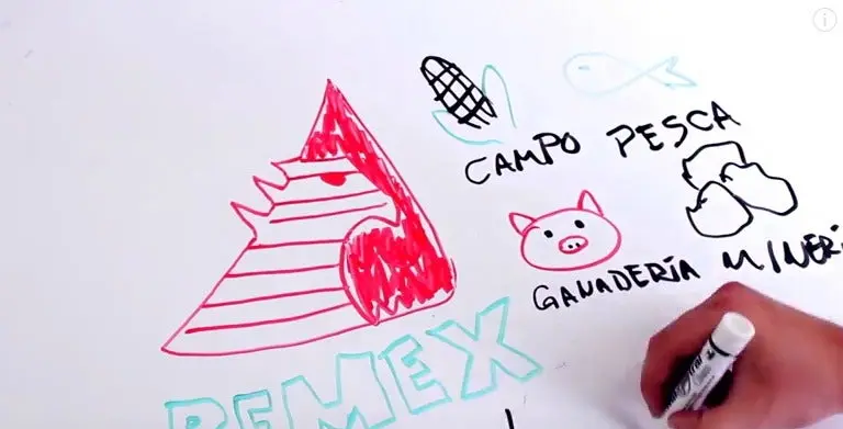 Bloguero explica con dibujos decadente historia de Pemex