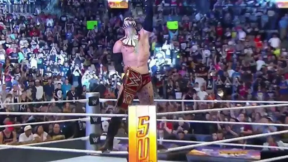 Elige la mejor lucha del 2016