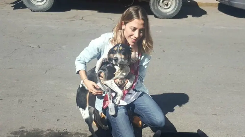 Interjet encuentra a Mika, la mascota que perdieron