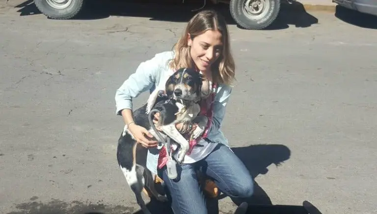 Interjet encuentra a Mika, la mascota que perdieron
