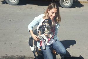 Interjet encuentra a Mika, la mascota que perdieron