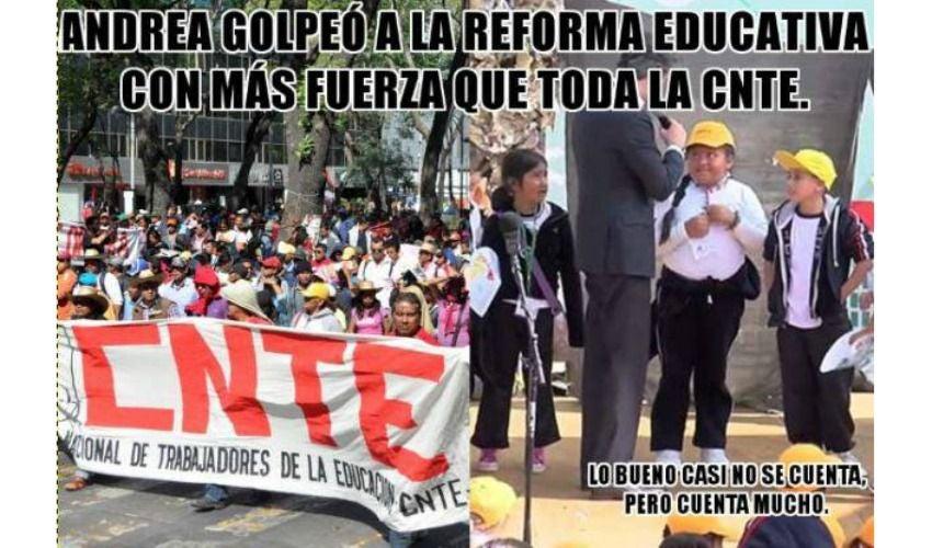 Imagen 5