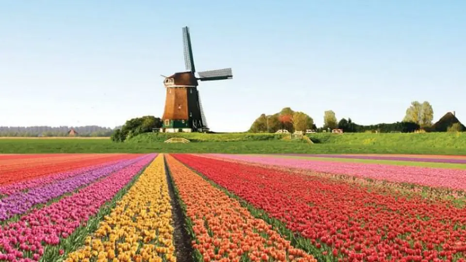 Holanda, el país que mira hacia el futuro