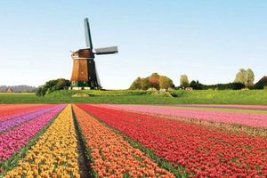 Holanda, el país que mira hacia el futuro