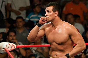 Alberto El Patrón regresará con todo su poder a Triple A en 2017