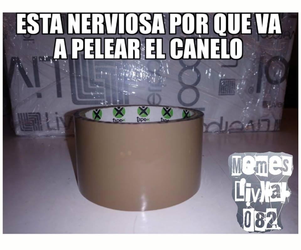 Disfruta de los mejores memes de Canelo-GGG