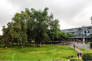 Profesor de la UNAM es asesinado y enterrado en su casa