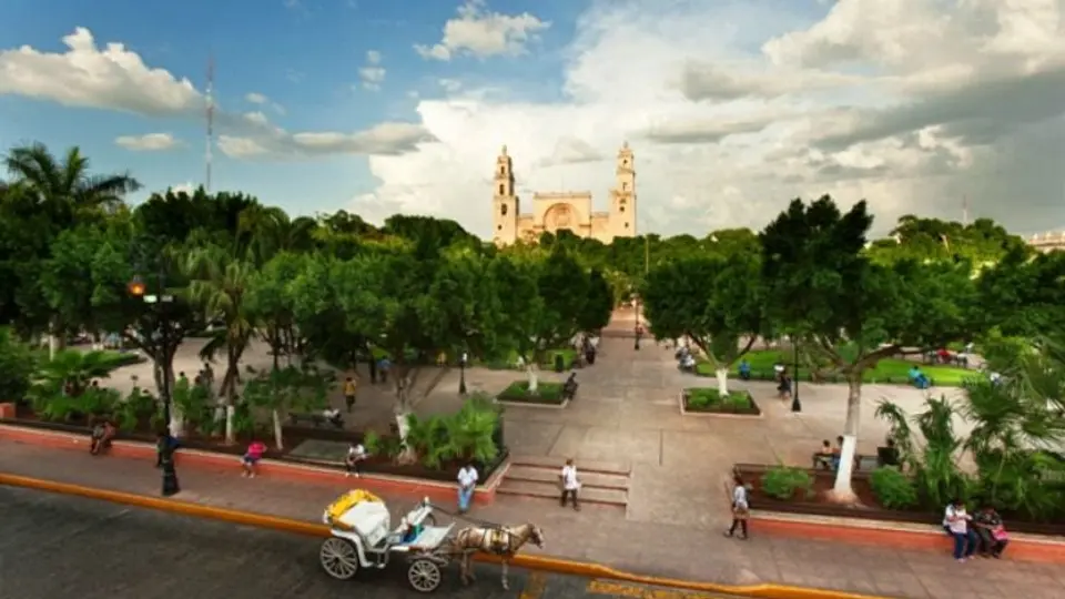 Mérida, un oasis en el caos de México