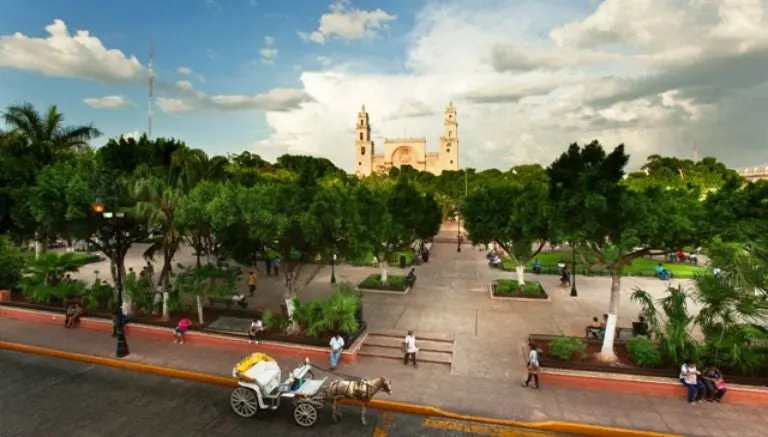 Mérida, un oasis en el caos de México