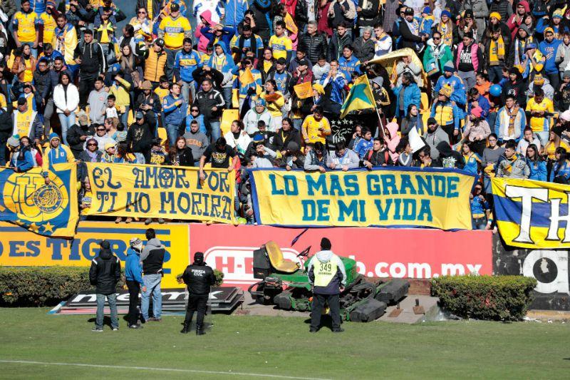 DANIEL GÁMEZ