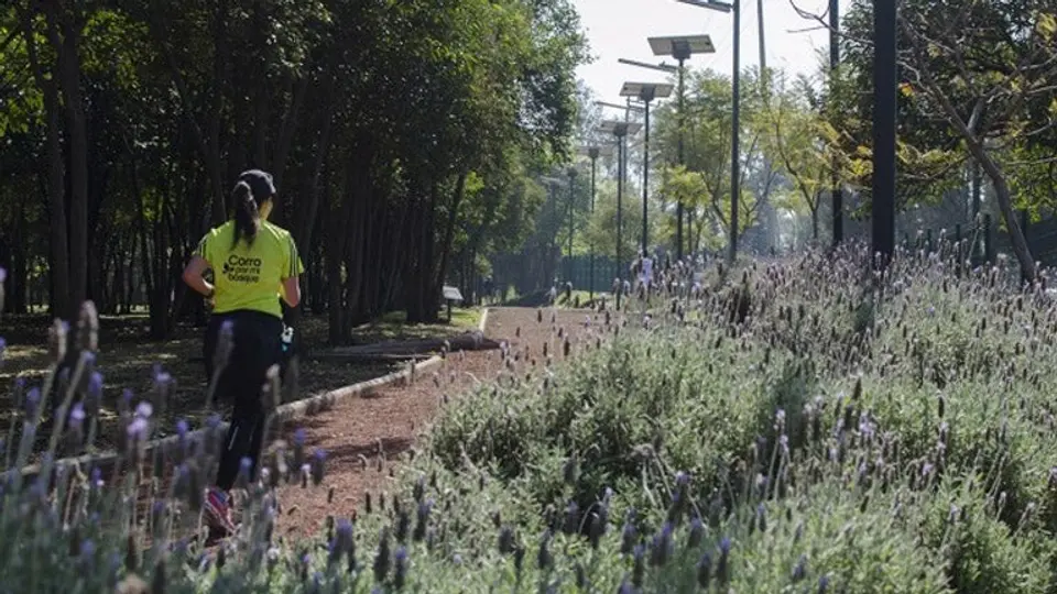 Mujer sufre agresión sexual en Bosque de Tlalpan