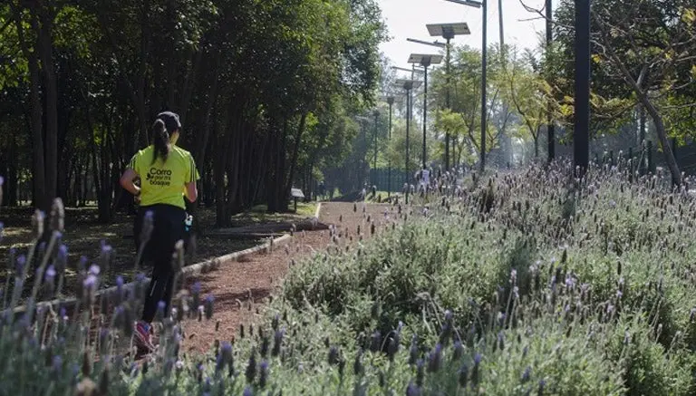 Mujer sufre agresión sexual en Bosque de Tlalpan