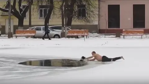 Ruso conmueve al salvar a perro atrapado