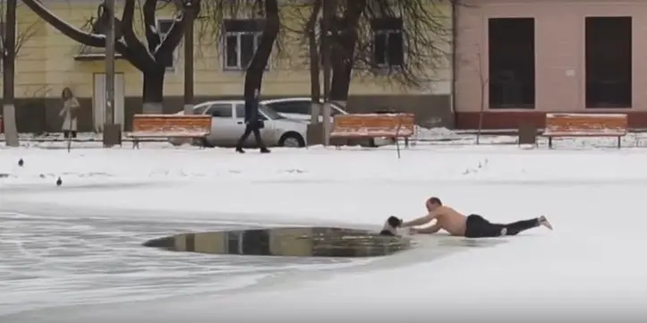 Ruso conmueve al salvar a perro atrapado