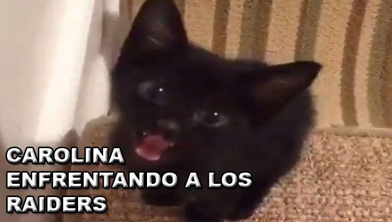 ESPECIAL