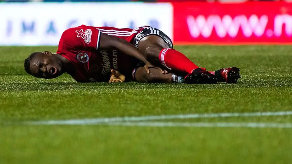 Xolos, en riesgo de padecer cáncer por pasto sintético