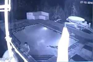 Cocodrilo sorprende a pareja ¡y el joven abandona a su novia!