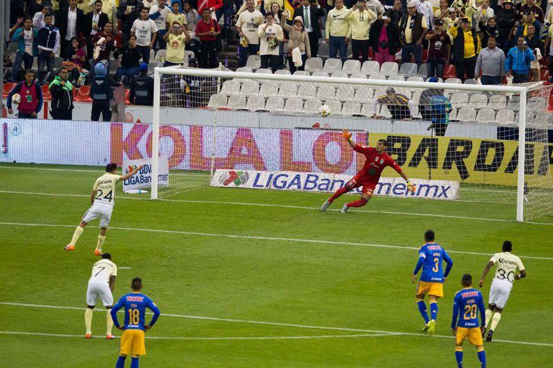 RICARDO FLORES