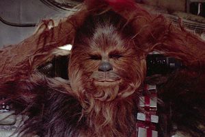 Chewbacca desea feliz Navidad cantando villancico