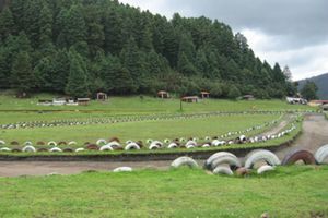 Mexicanos muestran apoyo a #JusticieroDeLaMarquesa