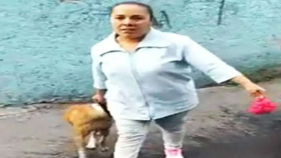 #LadyPitbull, mujer que amenaza a otros con perro