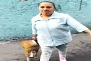 #LadyPitbull, mujer que amenaza a otros con perro
