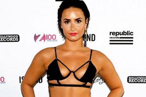 ¿Demi Lovato incursionará en MMA?
