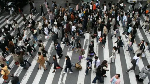 Experimentos sociales, un reflejo del mundo real