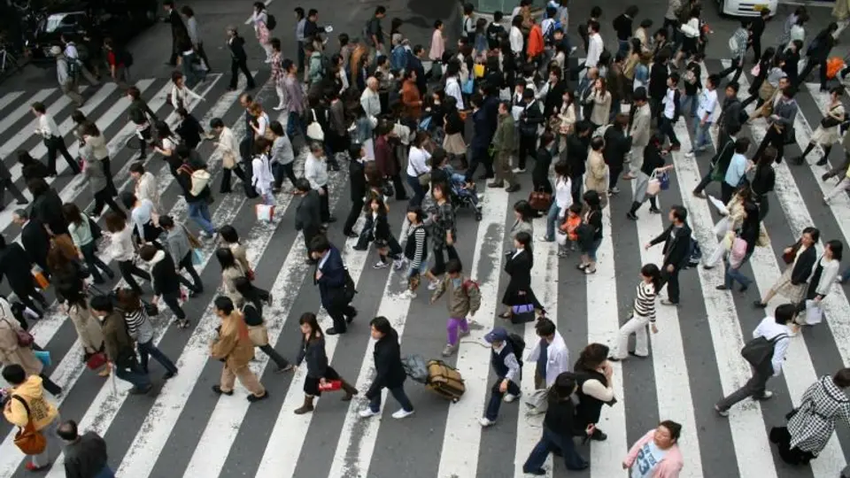 Experimentos sociales, un reflejo del mundo real