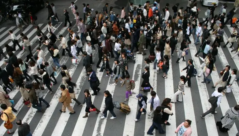 Experimentos sociales, un reflejo del mundo real