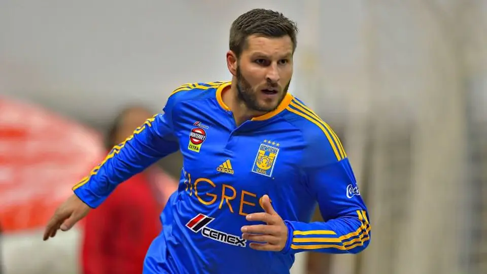 Especialista afirma que Gignac no debe de jugar