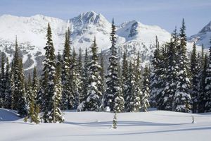 Rusia tendrá su reality show estilo 'Juegos del Hambre'