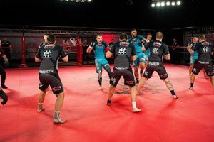 MMA, con mayor brutalidad en modo grupal