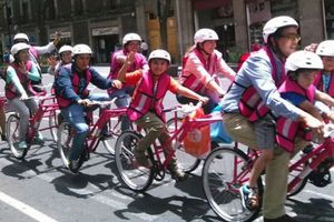 Bicibuses, insuficientes para cubrir la demanda de transporte