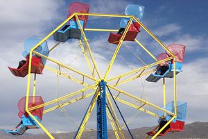 Mujer pierde cabello por selfie en rueda de la fortuna
