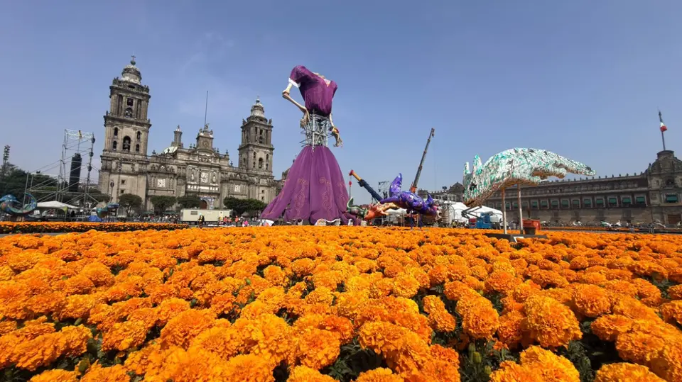 El cempasúchil llena de color la Plaza de la Constitución por el Día de Muertos. / Georgina Sánchez