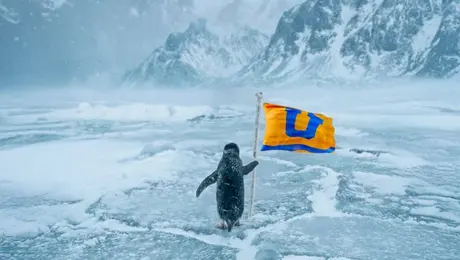El misterio del pingüino y la bandera: ¿Qué significa la nueva tendencia viral en el futbol?