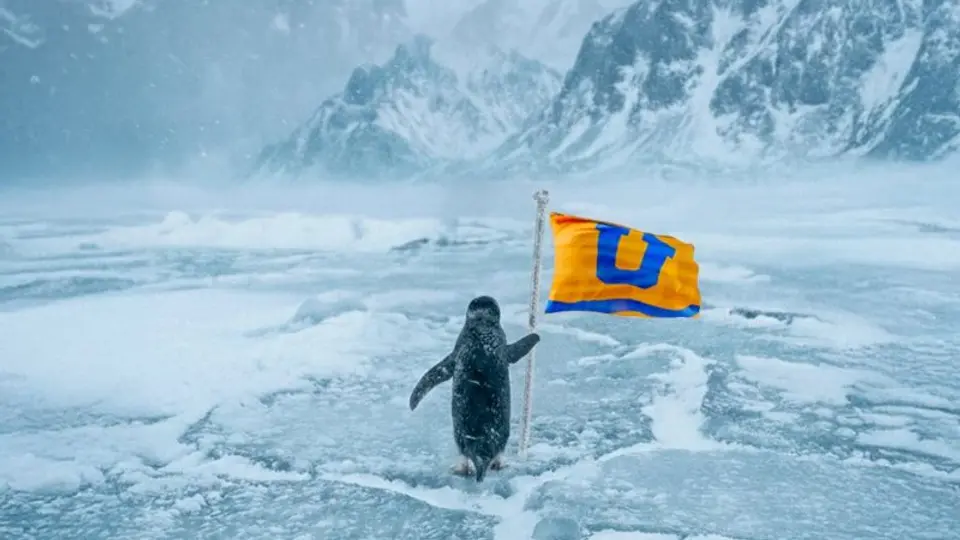 Tigres Femenil realiza tendencia del pingüino | @TigresFemenil