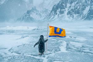 El misterio del pingüino y la bandera: ¿Qué significa la nueva tendencia viral en el futbol?