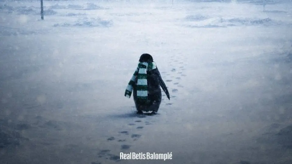 Betis se incluye a la tendencia | X: @RealBetis