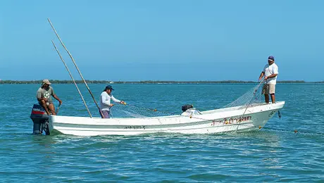 ¿México prohibirán la pesca desde febrero? Esto dicen las autoridades