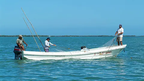 ¿México prohibirán la pesca desde febrero? Esto dicen las autoridades