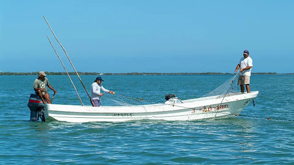 ¿México prohibirán la pesca desde febrero? Esto dicen las autoridades