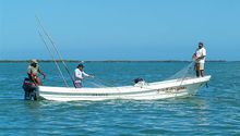 ¿México prohibirán la pesca desde febrero? Esto dicen las autoridades