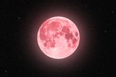Luna Rosa 2026 en México cuándo ver la luna llena de abril y a qué hora