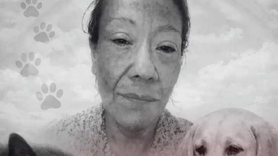 Asesinan a Anaid Belén en Edomex tras denunciar amenazas por rescatar perros