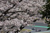 Panorámica de Sergio 'Checo' Pérez en el Gran Premio de Japón 2026 | AP