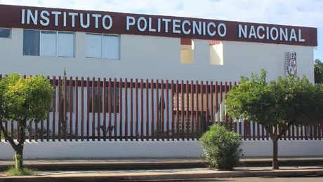 Polémica: alumnos del IPN en Reino Unido reportan cancelación de becas