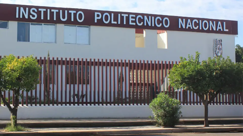 Polémica: alumnos del IPN en Reino Unido reportan cancelación de becas